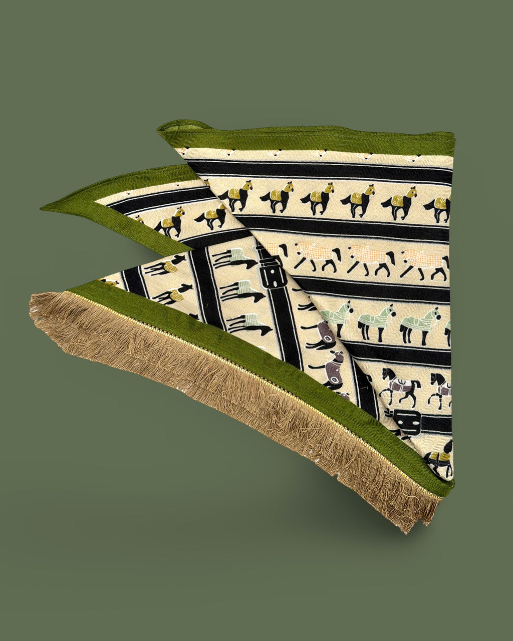 The Motion Belt